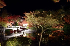 永観堂 ライトアップ拝観