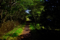 グリーンにようこそ