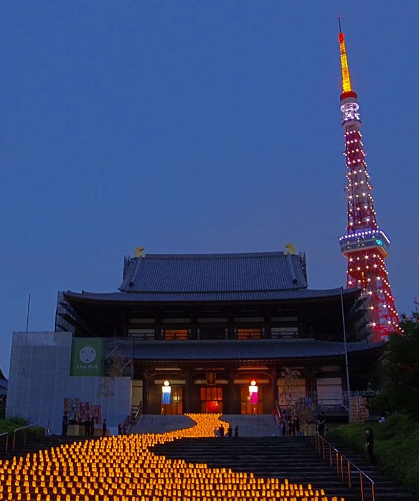 増上寺 七夕まつり