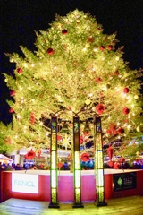 Christmas tree in 横浜赤レンガ倉庫