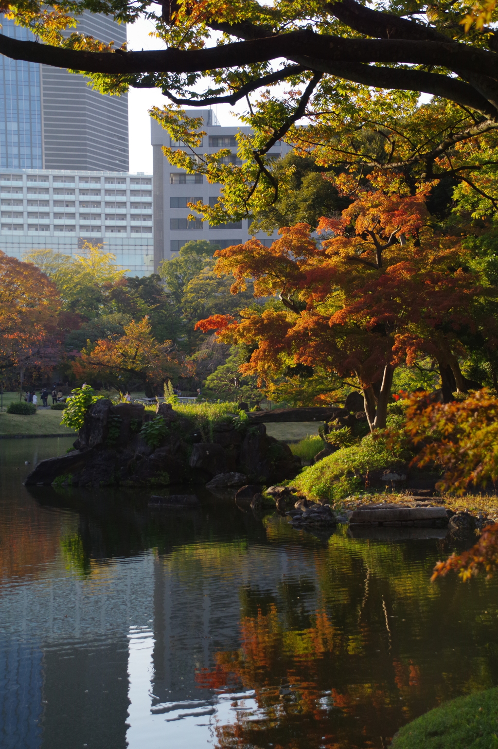 ビル達も 写り込む池 紅葉し