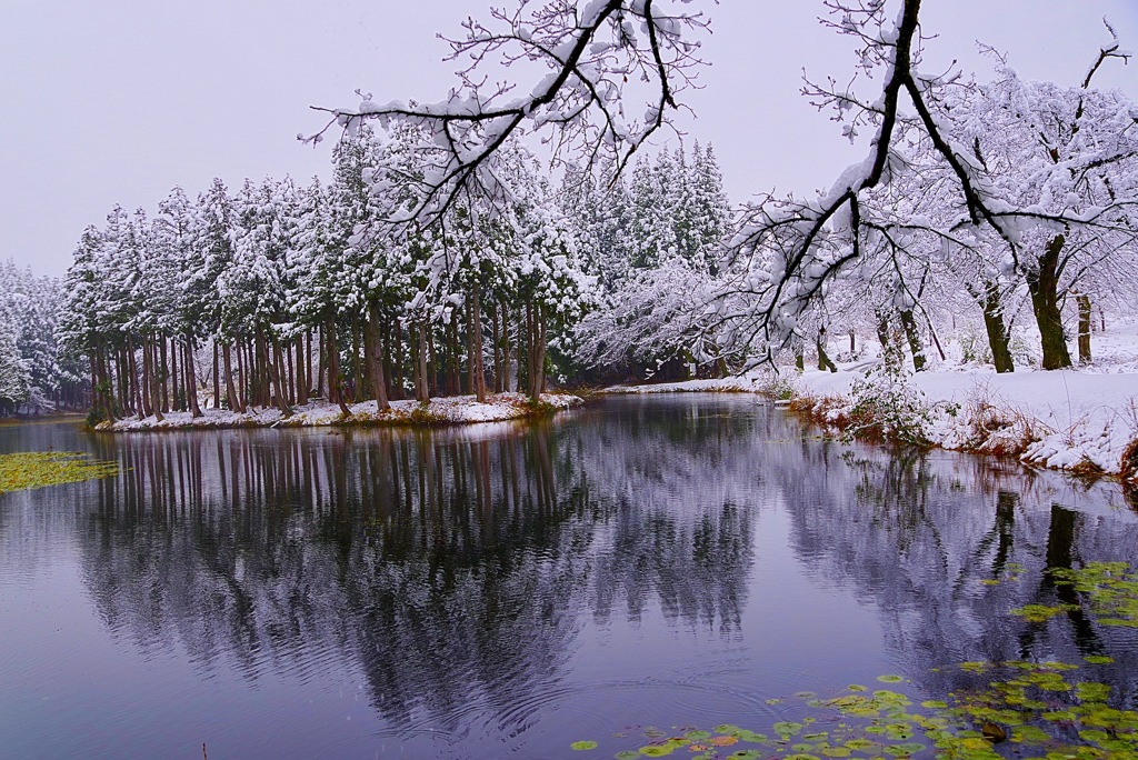 新潟十日町  冬景色