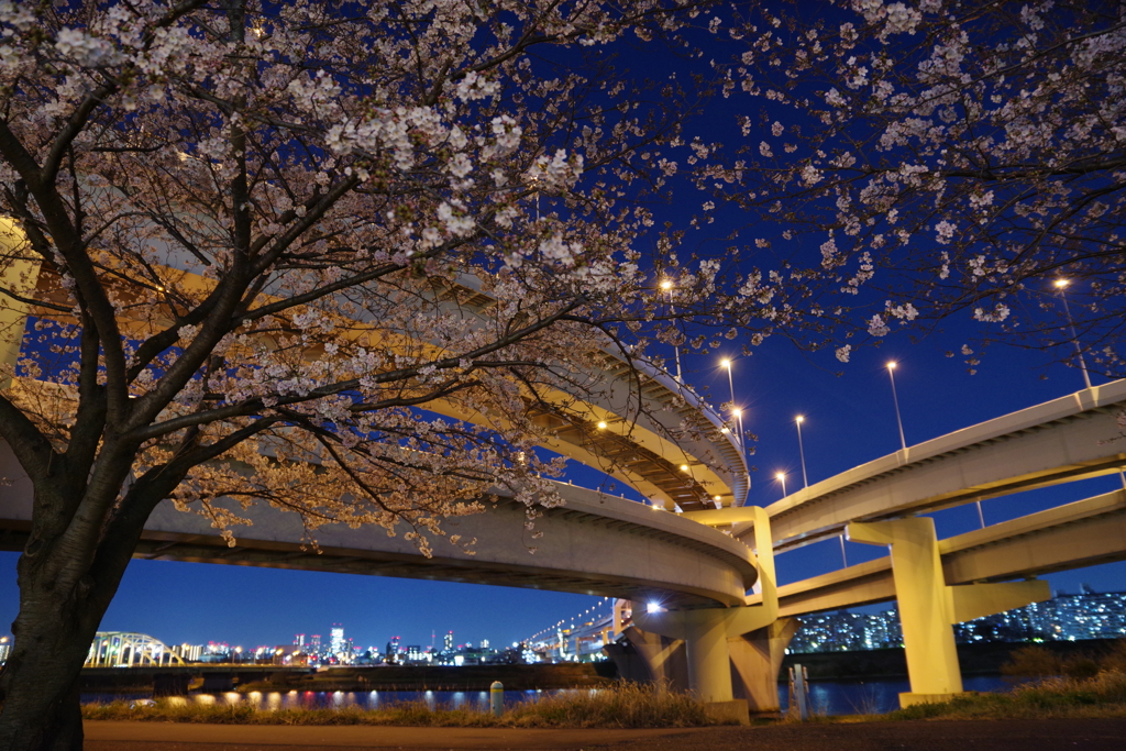 桜ジャンクション