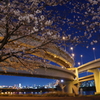 桜ジャンクション
