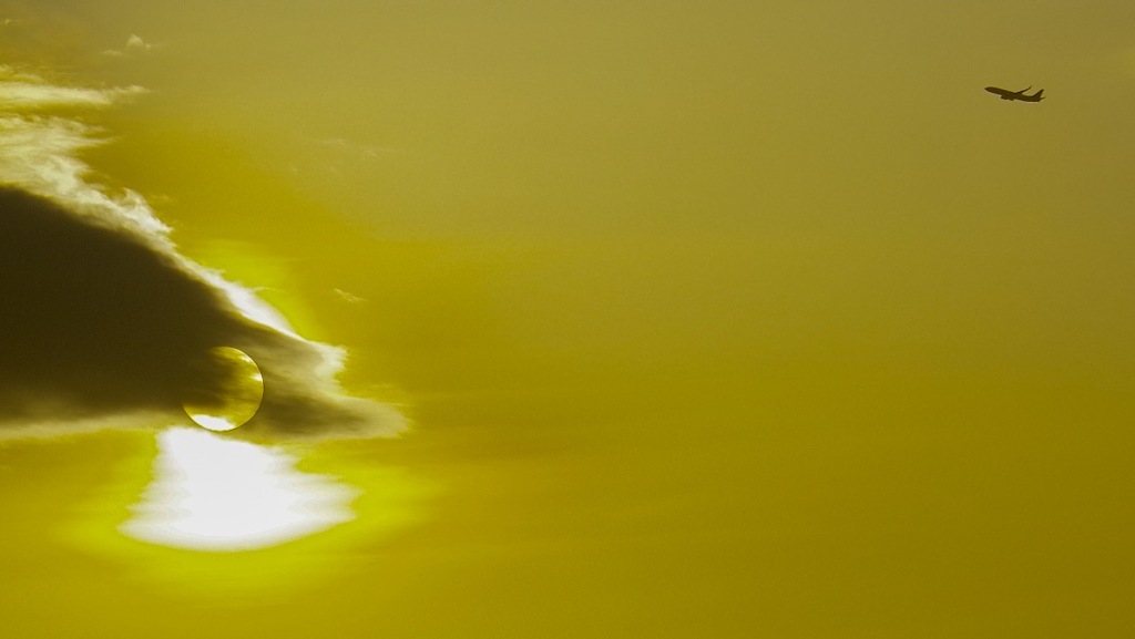 イエローフライト