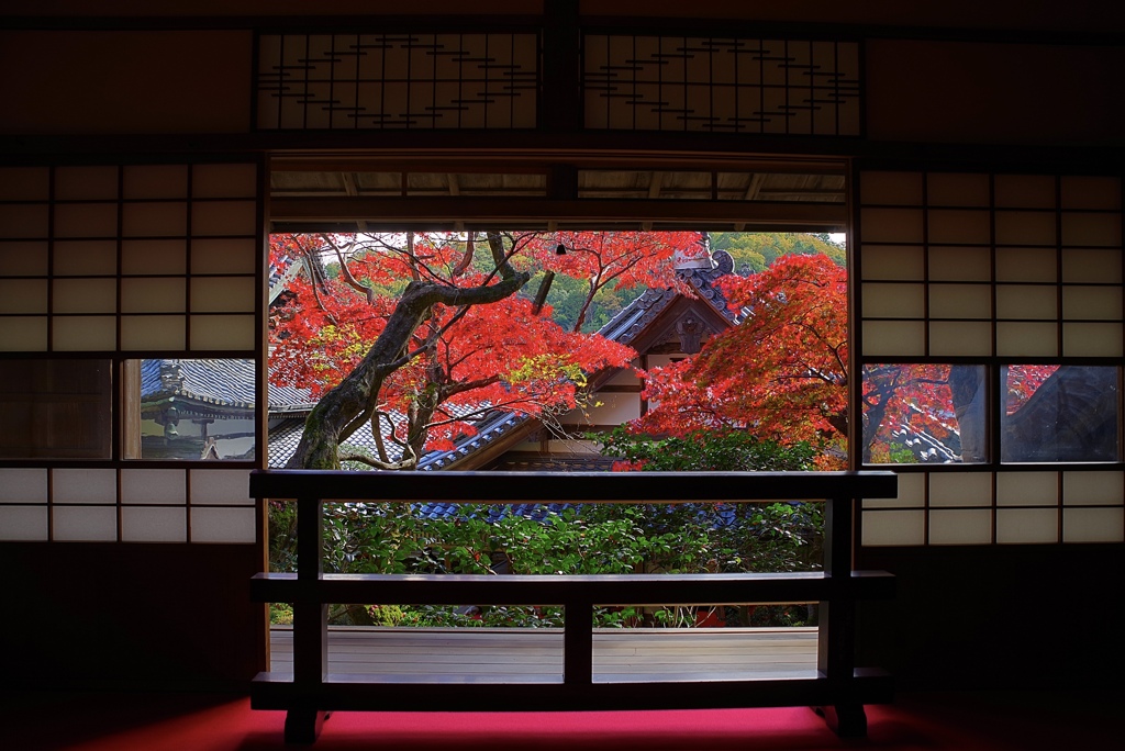 襖越しの紅