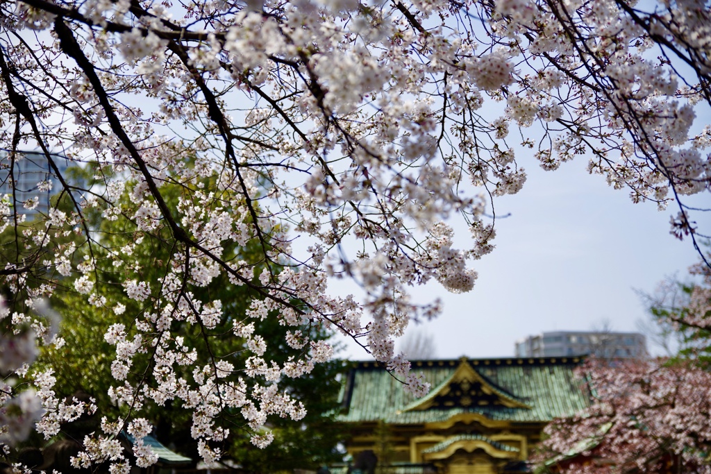 上野東照宮