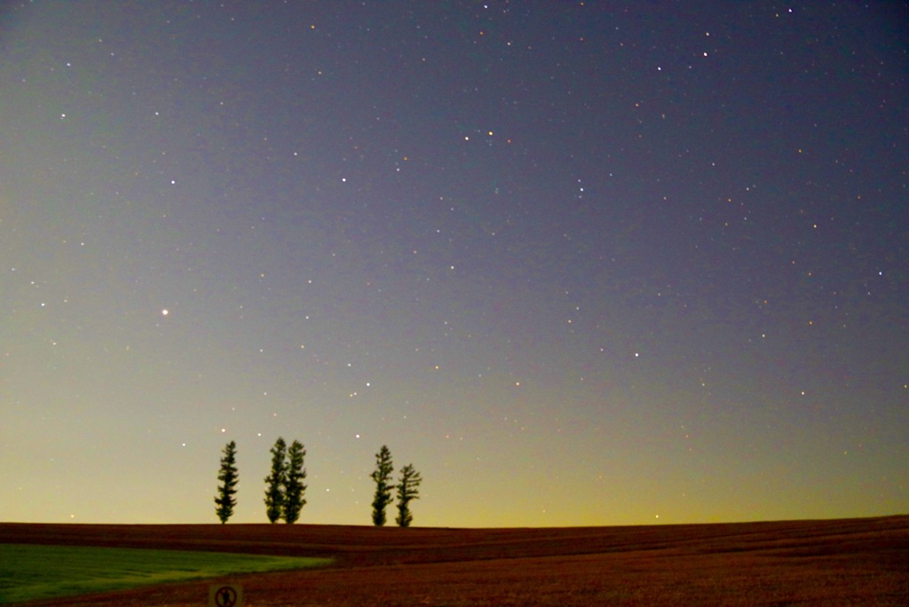 stary night