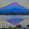 夕陽に照らされる霊峰富士