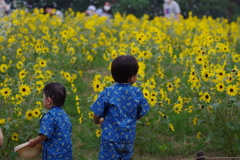 夏の思い出