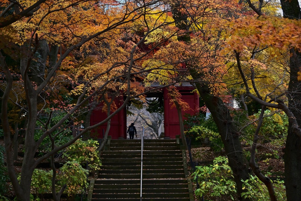 晩秋の本土寺