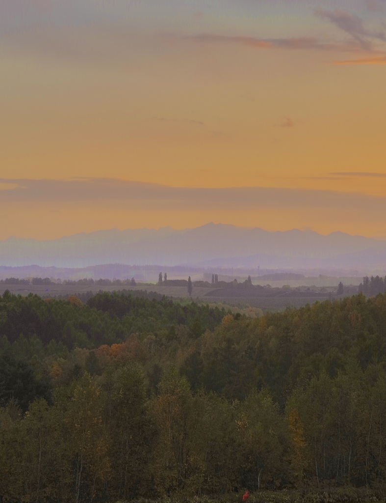 美瑛の夕景