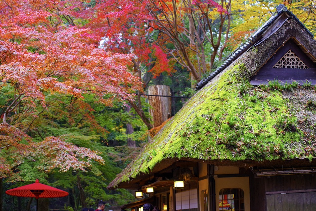 茶屋