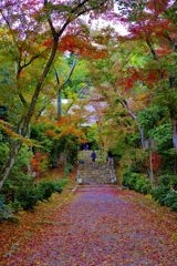 浄住寺