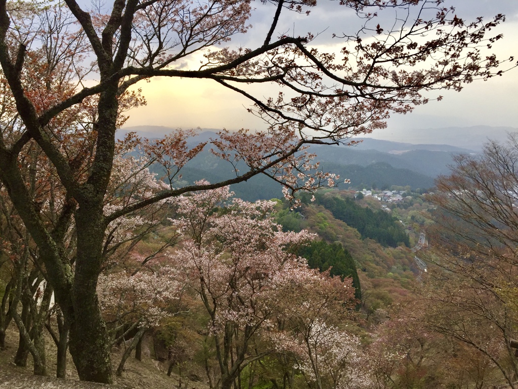 吉野山 