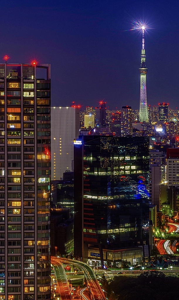 シーサイドトップ 展望台の夜景