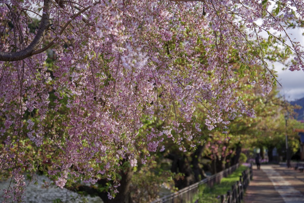 臥龍公園