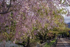 臥龍公園