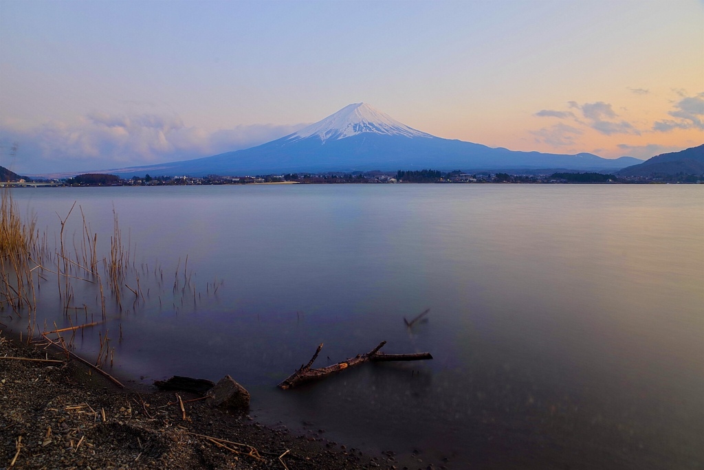 富士と流木