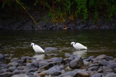 またこの場所で