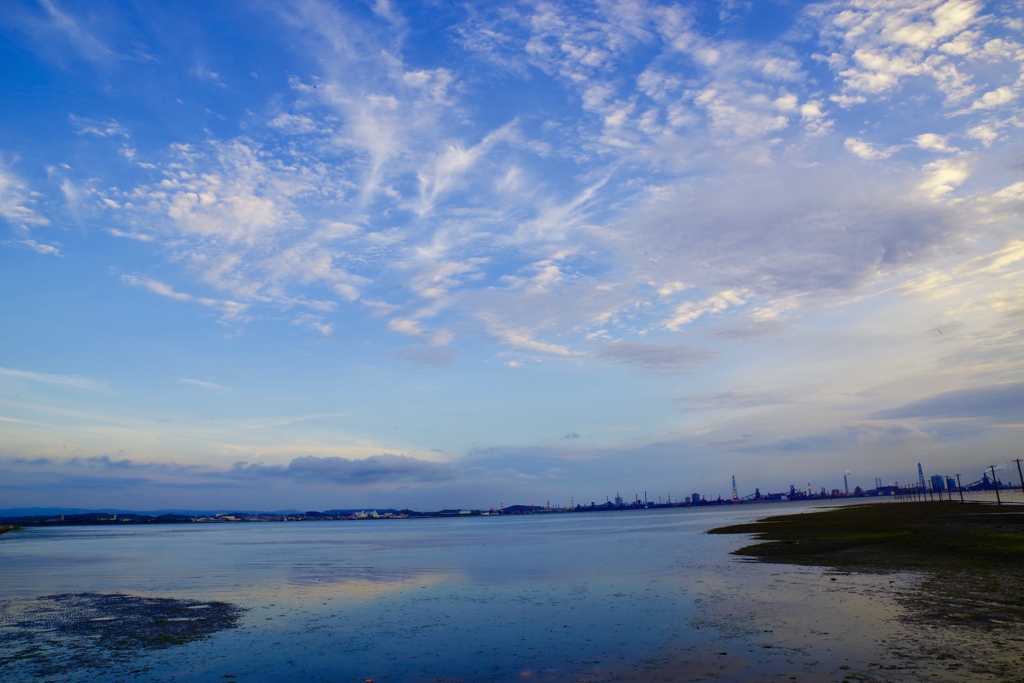 久しぶりの青空