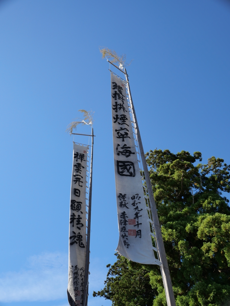 瓊樹？煙寧海国