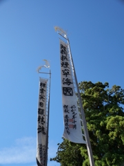 瓊樹？煙寧海国