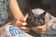 我が家のクロちゃん