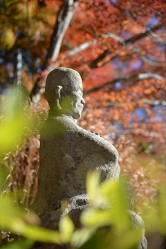2024年箱根紅葉④
