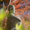 2024年箱根紅葉④
