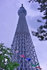 スカイツリー