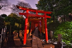 千本鳥居　根津神社