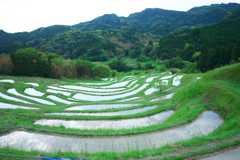 棚田クラブ　大山千枚田