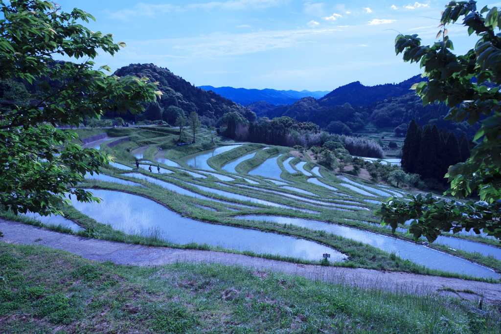 大山千枚田
