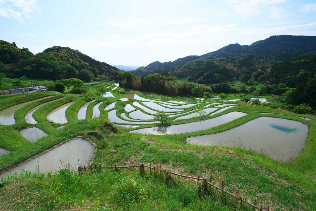 棚田クラブ　大山千枚田