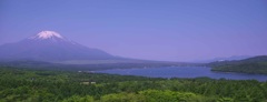 見晴らし台より富士を望む