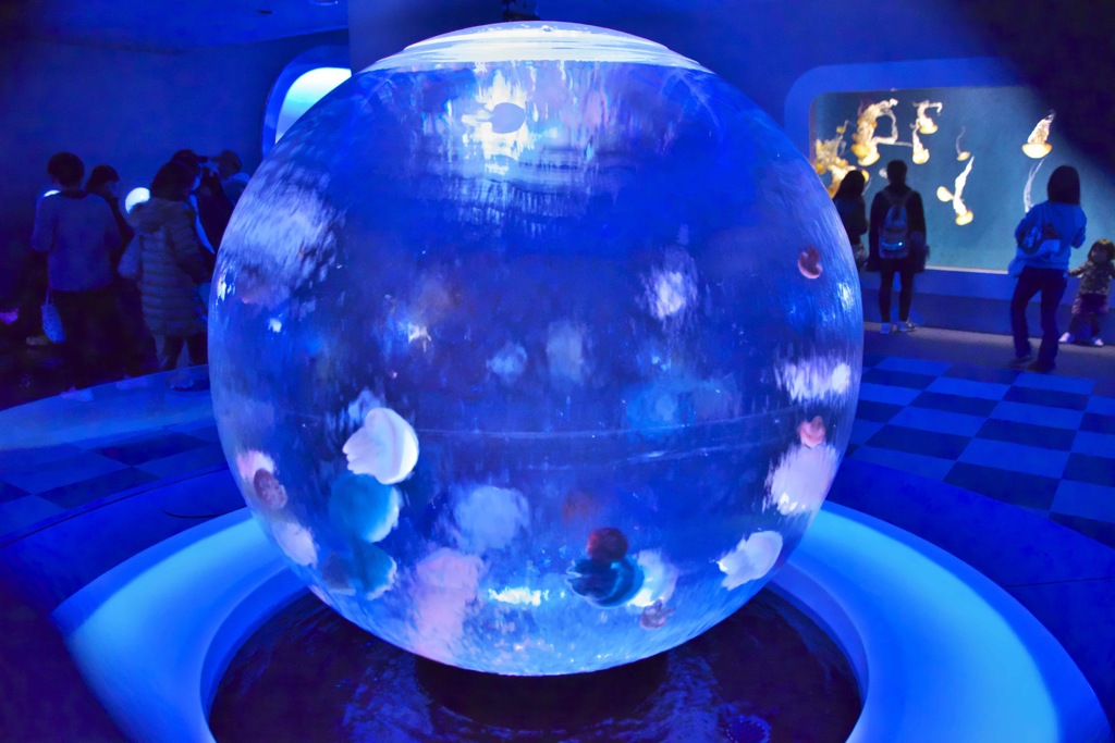 江ノ島水族館