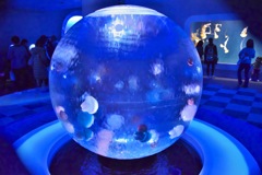 江ノ島水族館