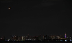 月と東京タワー