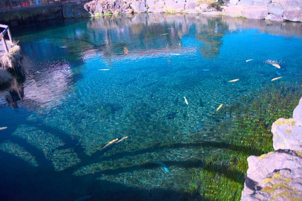 忍野八海