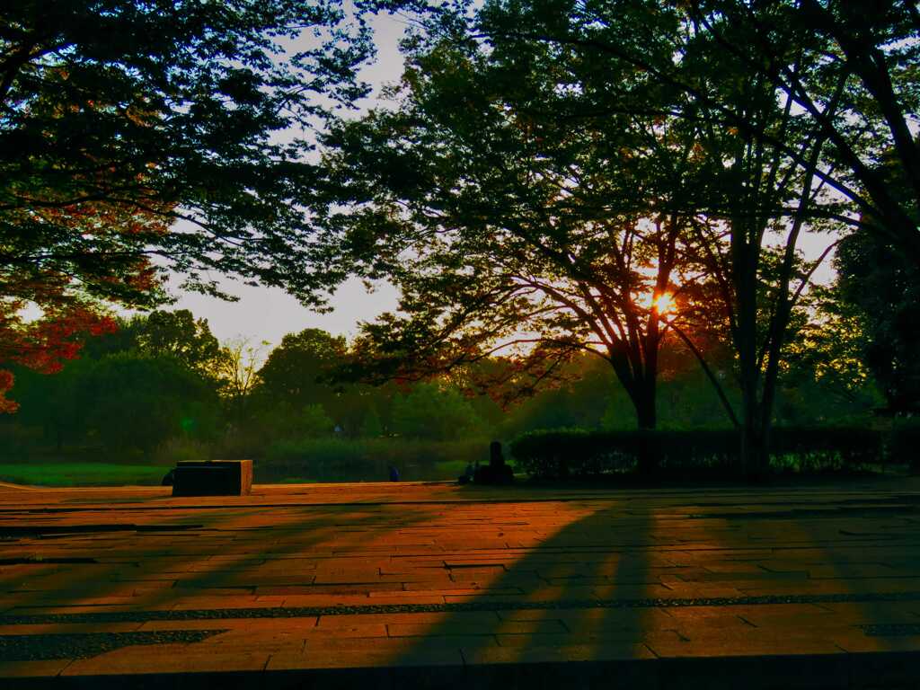 いつかの夕焼け