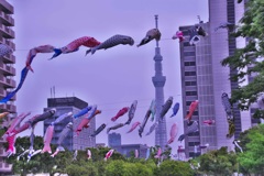 スカイツリーにたなびく