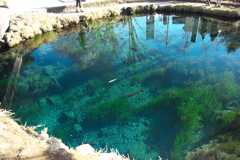 忍野八海