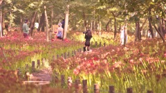 格好の良い尾根遺産