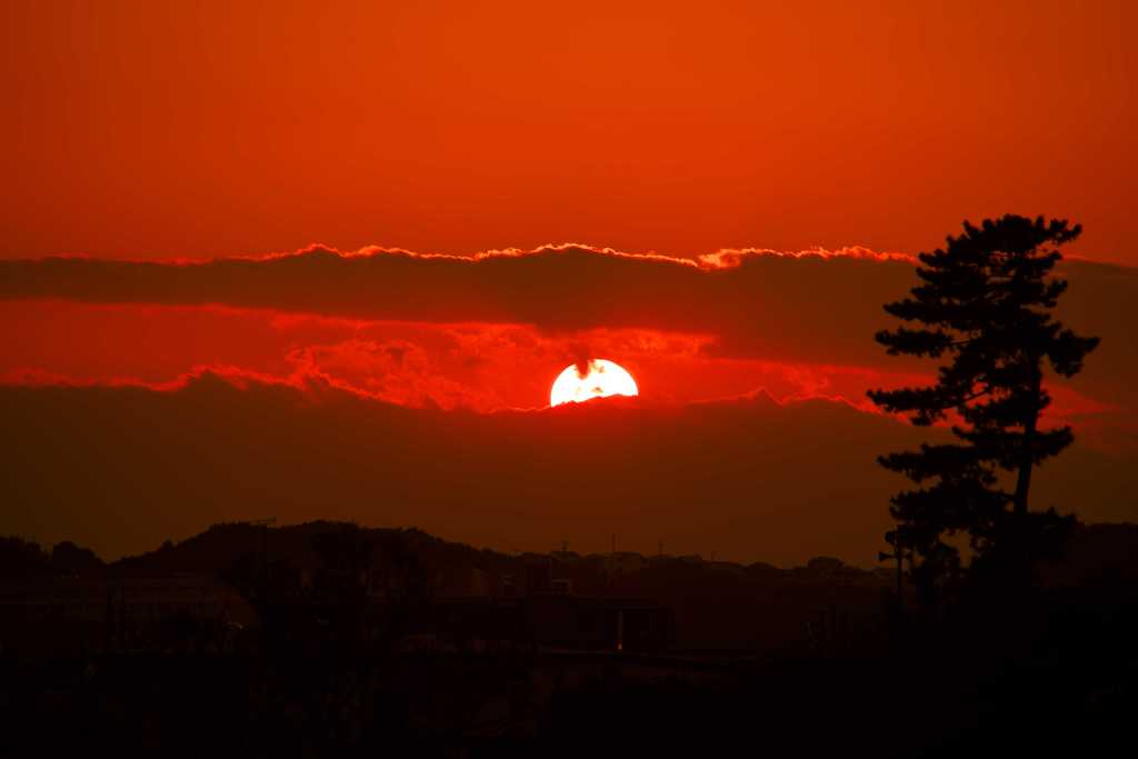 多摩川から見る夕陽