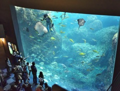 江ノ島水族館