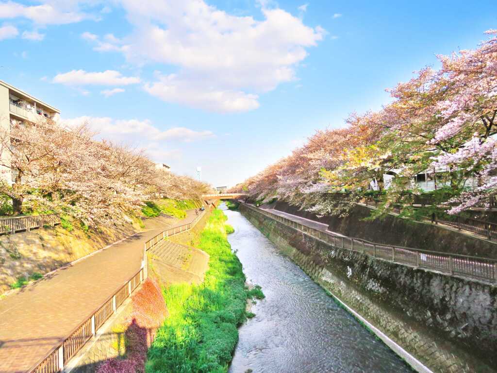 春の色どり