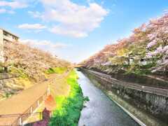 春の色どり