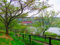 ダム湖の赤い鉄橋