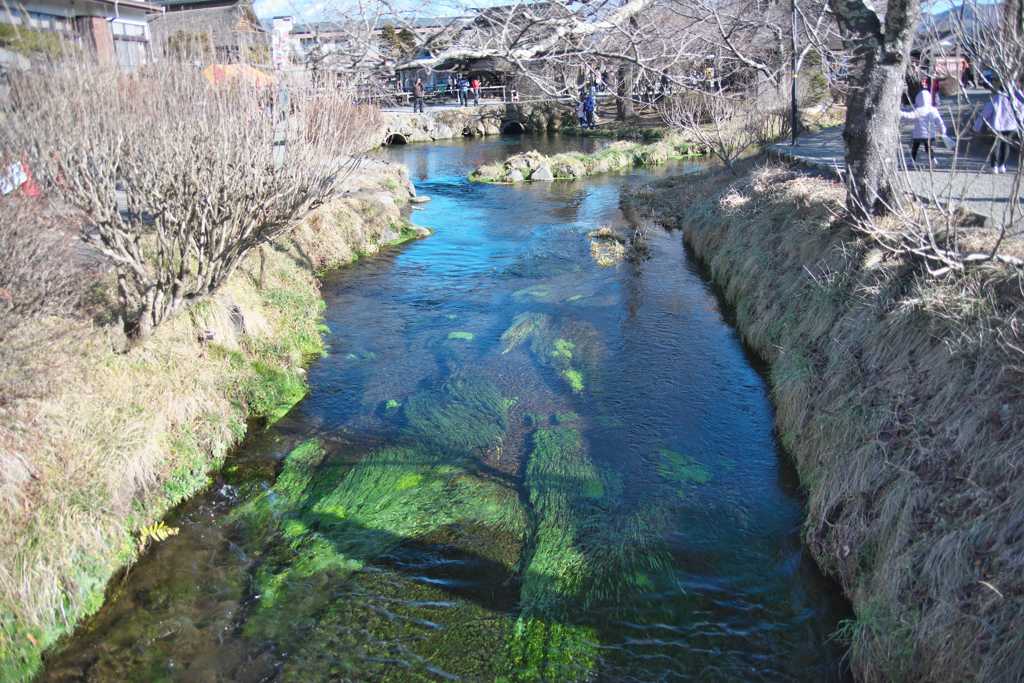 忍野八海